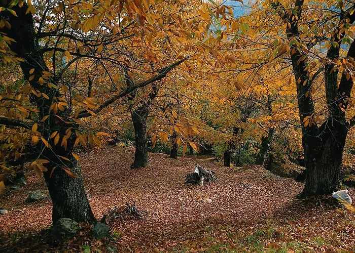 Archontiko Elda فندق